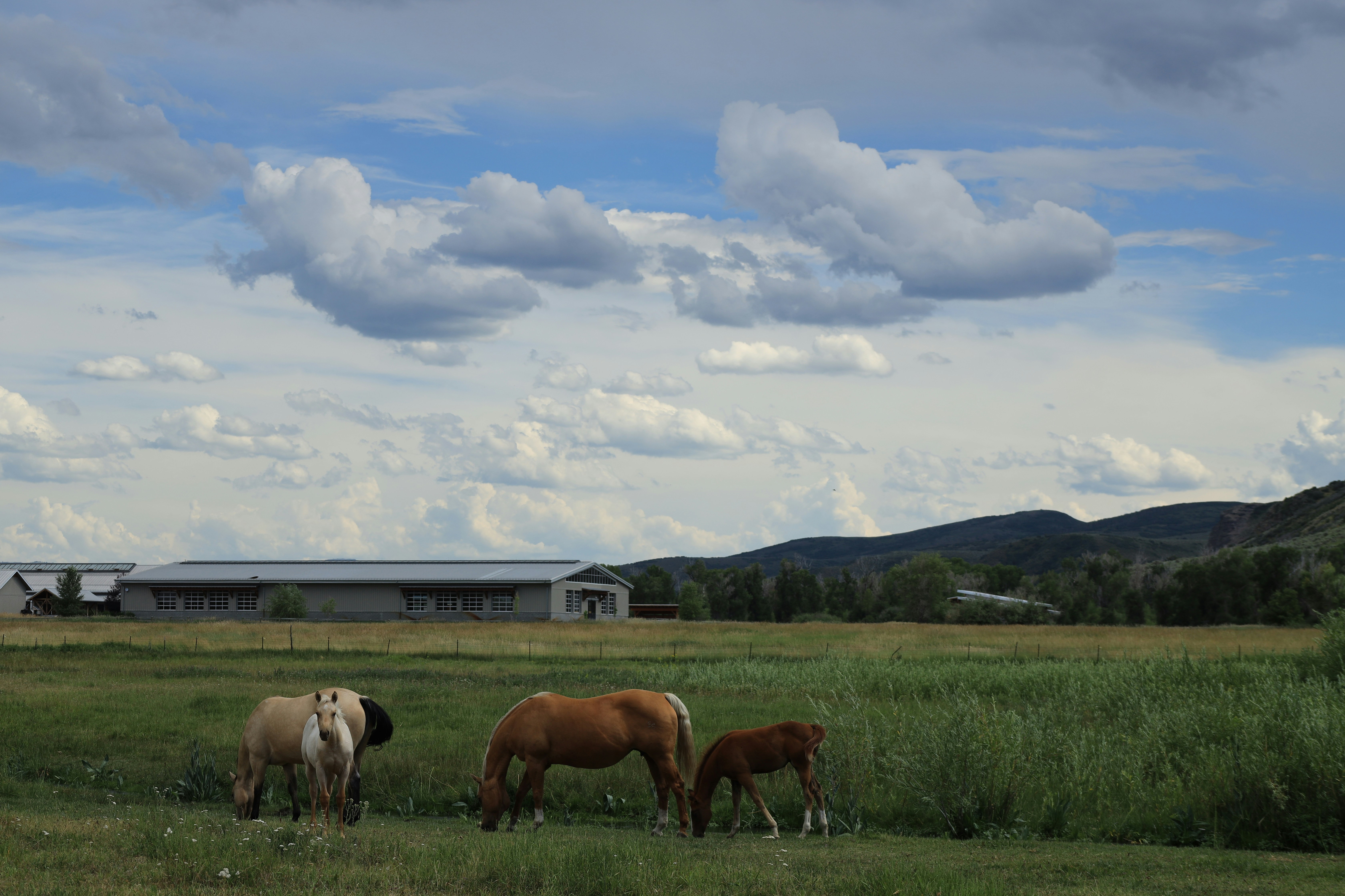 Family Farm Estate Plan Provides Peace During Health Crisis